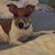 Kimmie Mckinnon's profile image