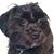 Cathy Sunshine's profile image