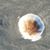 K Anthony DeVera's profile image