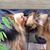 Kaye Hailey Chilton's profile image