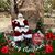 Tony Cagle's profile image