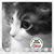 Joann Walbridge Allen's profile image