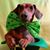 Cynthia A Evans's profile image