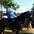 Jose David Alvarado Rivera's profile image