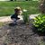 Debra Deluca Martin's profile image