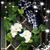 Jerry-Vicki Yoder's profile image