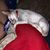 Nancy Cole's profile image