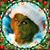 Kimberly Ruyle's profile image