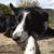 Patrick Guillaume's profile image