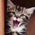 Tina Hisick's profile image