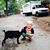 Brian Cotter's profile image