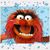 David Cash's profile image