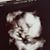 Diane Snyder Heeren's profile image