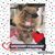 Traycie Powell's profile image