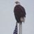 Larry Majewski's profile image
