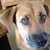 Jon Giunta's profile image