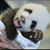 Crissy Cris's profile image