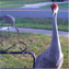 Darla Sharp's profile image
