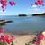 Amy Colcher's profile image