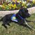 Marcia Drost's profile image