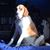 Heather Nowak's profile image