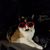 Rita Lett's profile image