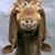 Dave Childers's profile image