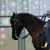 Mary Lynn Duncan's profile image