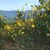 Christine Horon Goertz's profile image