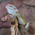Rory C.'s profile image