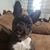 Stephanie Genisio's profile image