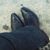 Jhonny Walker's profile image