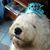 Vicki Beppler's profile image