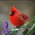 Sandra Lawson's profile image