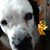Deb Cavanaugh's profile image