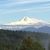 Cindy Miller Tommaso's profile image