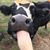 Jeremy Dockery's profile image