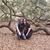 Michelle Daniel Gilham's profile image