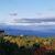 Susan Clement-Ross's profile image