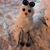 Catherine Faley's profile image
