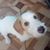 Clarissa Suarez Rojas's profile image