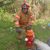 Paul Fireman's profile image