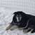 Melissa S. Thill's profile image