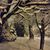 Julie Peachey's profile image