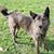 Nancy Washburn-jones's profile image