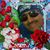 Rodrigo Almanza's profile image