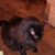 Cheri Walker's profile image