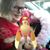 Carol Phillips Psbn's profile image