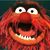 Nancy Pitts's profile image