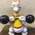 Ronald McCarrison's profile image